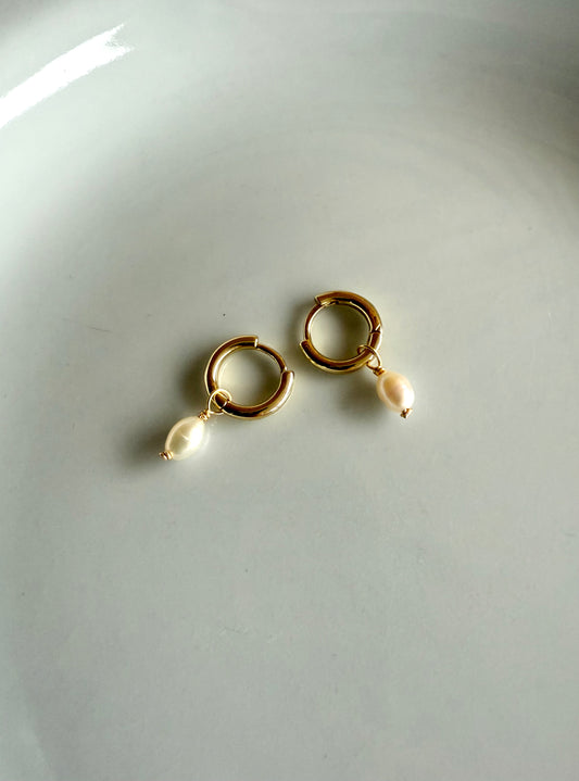 Petite Corsica Hoops